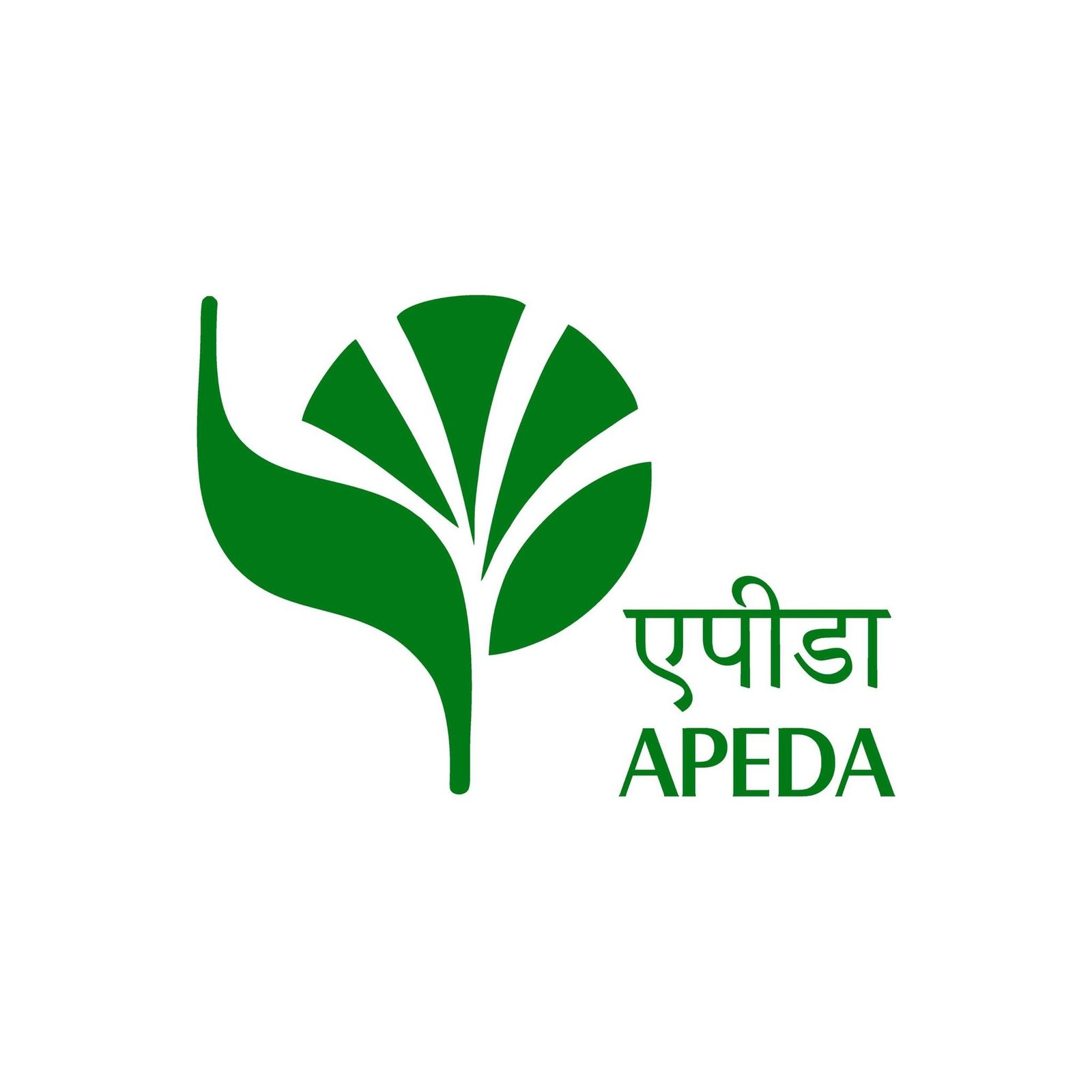 APEDA Certificate